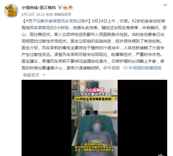 绣球有毒吗 怎样安全观赏和摘取(27)