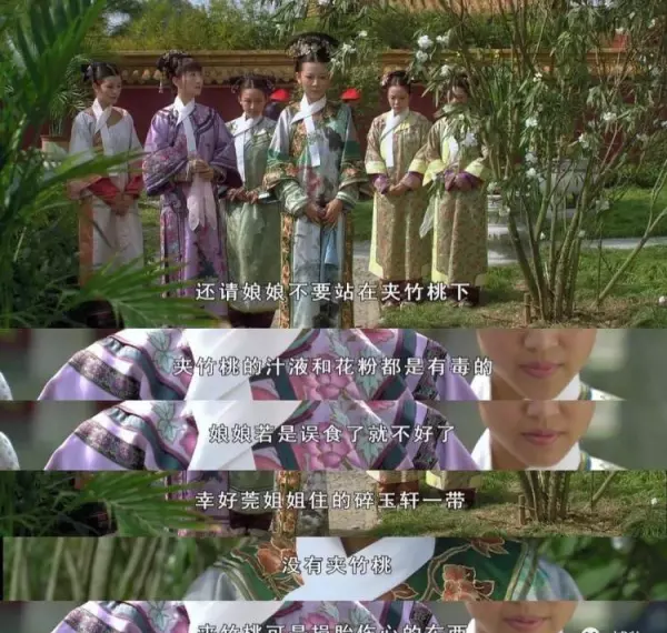 绣球有毒吗 怎样安全观赏和摘取(2)