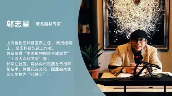 绣球有毒吗 怎样安全观赏和摘取(39)