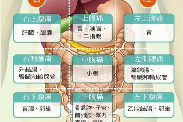 左手边上腹部边上疼是什么问题.