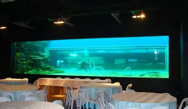石家庄钢琴搬家价格(1)