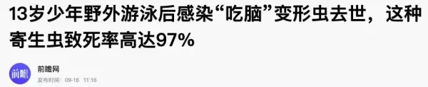 瓜子虫子是什么意思(7)