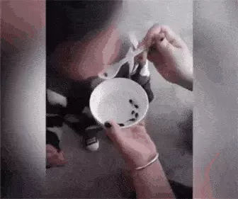 瓜子虫子是什么意思(8)