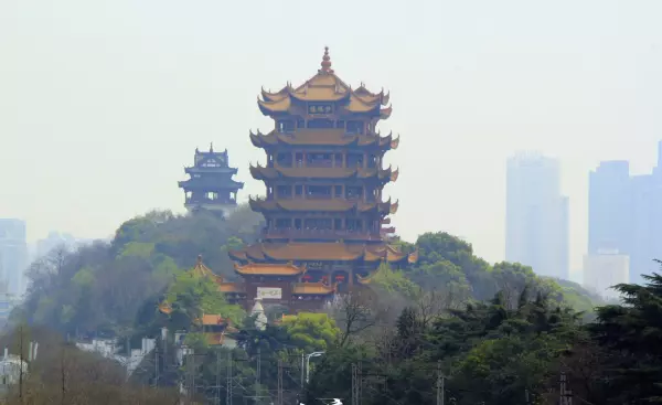深圳面积有多大相当于1.5个上海四个武汉(4)