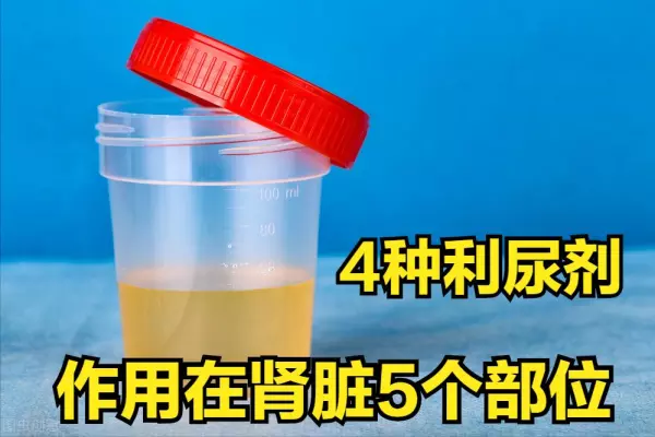 阿贝尼奈的作用与功效(1)