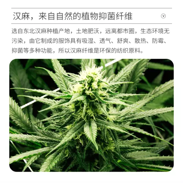 康妮雅家居服怎么样(3)