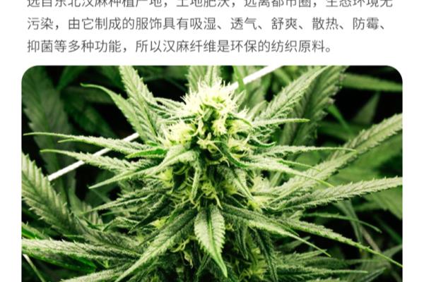康妮雅家居服怎么样.