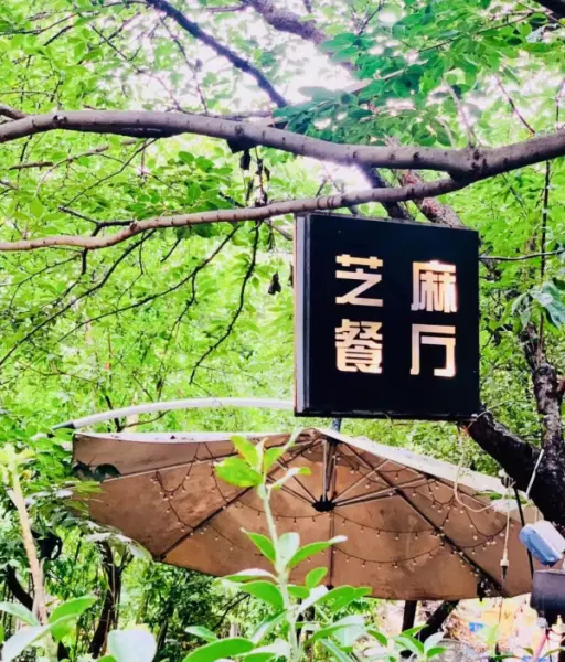 日式餐厅淋上照烧汁的简餐叫什么(2)