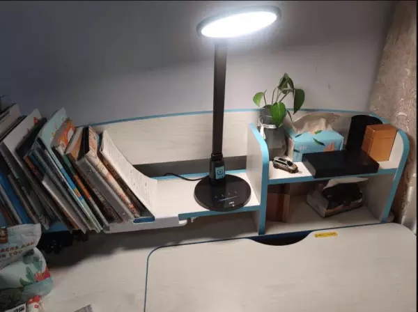 钨丝灯泡和led灯泡哪个对眼睛好(6)