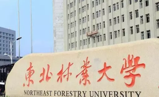 清华有多大面积相当于什么(1)
