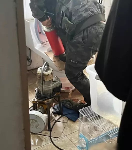 厕所堵住了水下不去往上满怎么办(7)