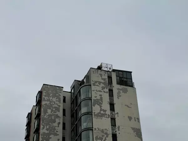 鸽子笼怎么搭建能方便清理(1)