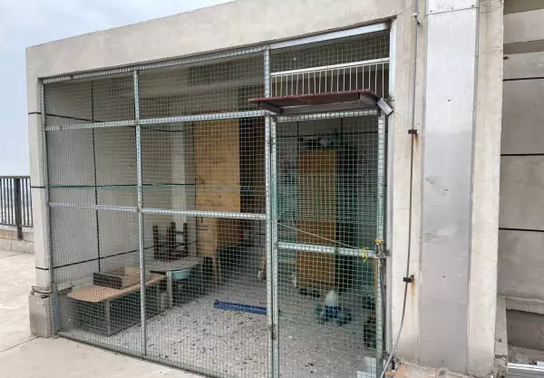 鸽子笼怎么搭建能方便清理(4)
