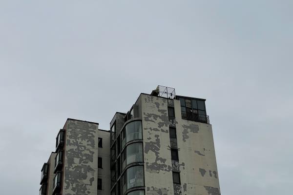 鸽子笼怎么搭建能方便清理.