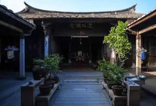普通家里不能摆龙怎么处置(20)