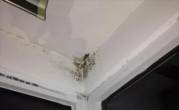 返潮发霉墙壁最好的解决方法(7)