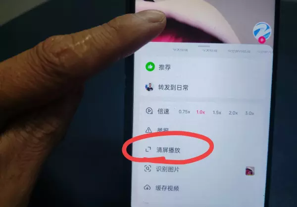 窗口最大化后任务栏被遮挡怎么调(3)