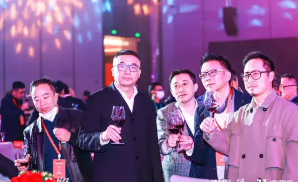 华腾地毯是国际品牌吗(19)