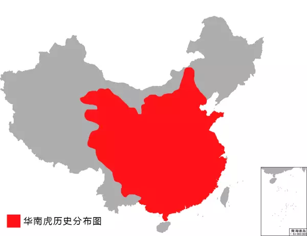 老虎的尾巴有什么作用答案(3)