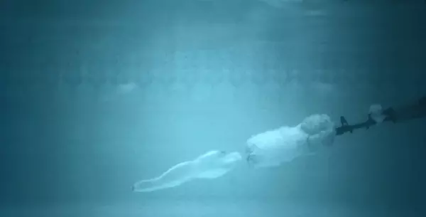 水稳密度是多少kg m3(3)
