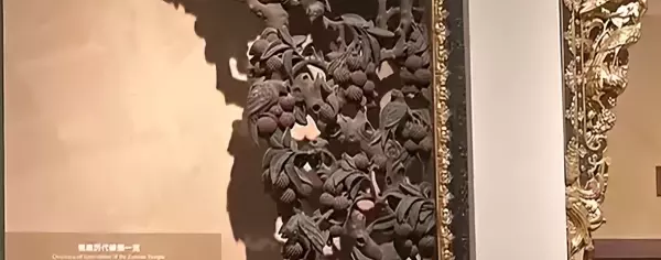 飞罩和挂落有什么意思区别(13)