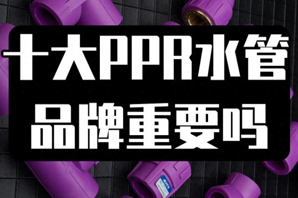 龙胜管业是十大品牌吗.