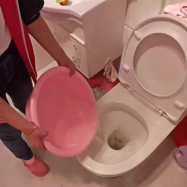 打气型皮搋子怎么通马桶(3)