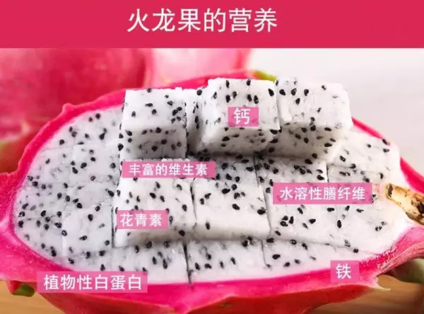 白色好还是红肉好(7)