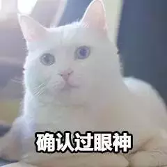地板修复费开票怎么开(5)