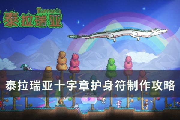 圣带子怎么做好吃.