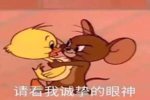 地板修复费开票怎么开.