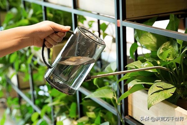 收集雨水浇花存放几天可以用.