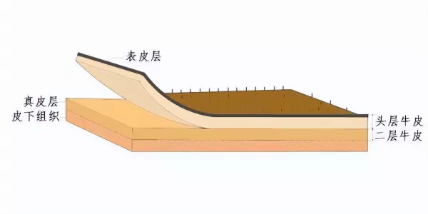 半青皮和全青皮有什么区别(5)