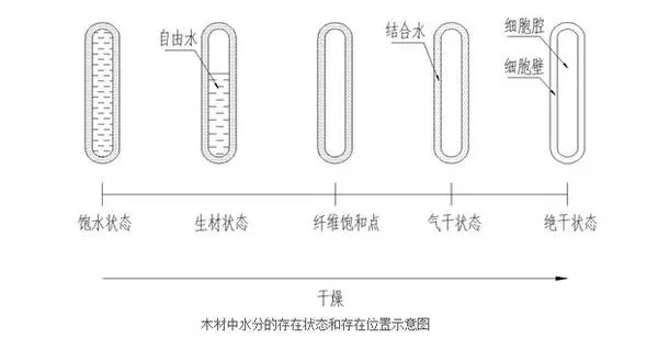 木头开裂怎么修复后重新打螺丝(7)