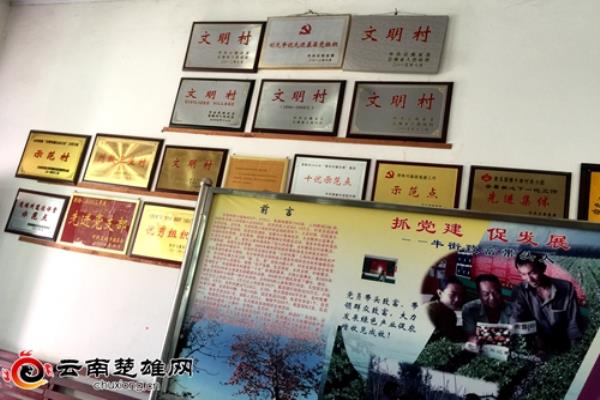 黄瓜园镇赶集时间.