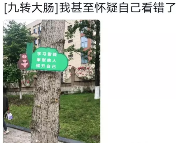 字幅是不是不能挂背后?(14)