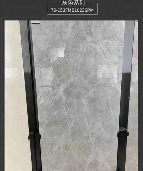 十大品牌地砖750x1500价格(2)