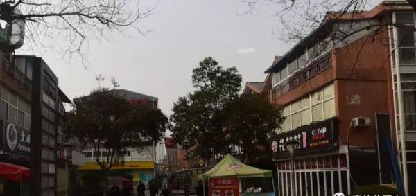 紫薇田园都市初中学区是哪个学校(2)