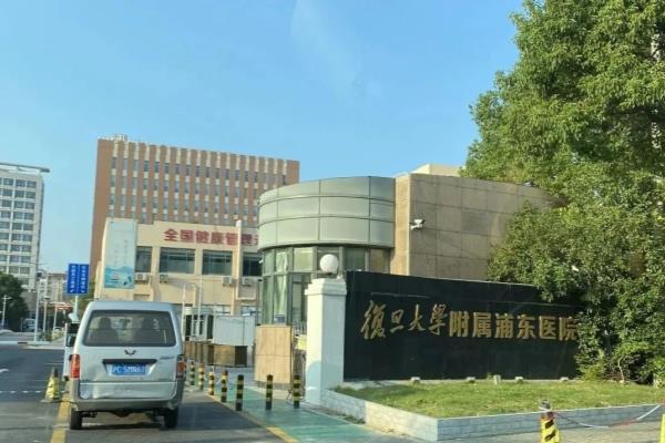惠南小城是动迁房还是商品房.