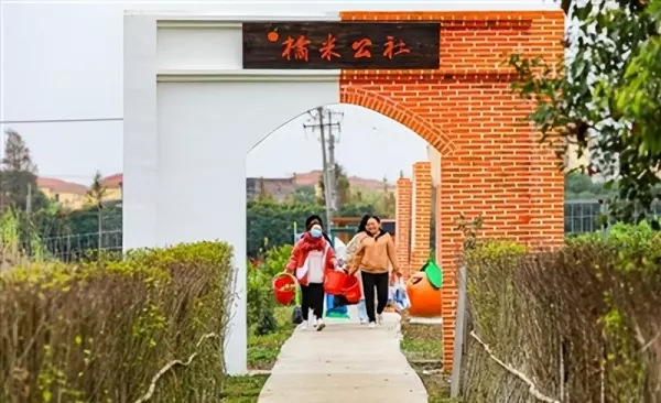 上海南桥镇属于哪个区(1)