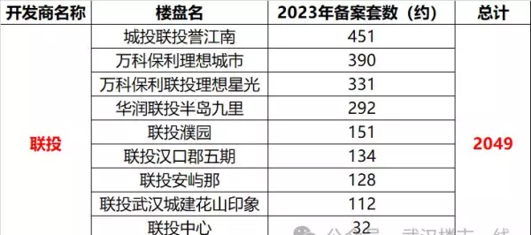 武汉金地艺境2012年开盘价格(12)