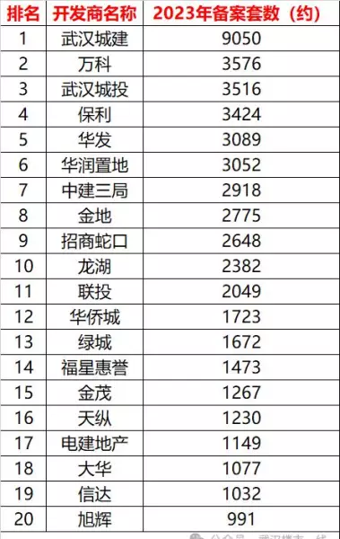武汉金地艺境2012年开盘价格(1)