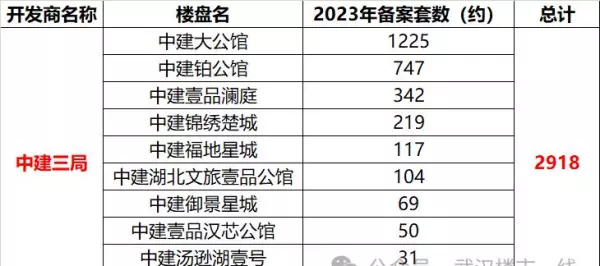 武汉金地艺境2012年开盘价格(8)