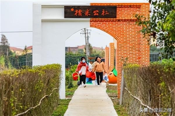 上海南桥镇属于哪个区.