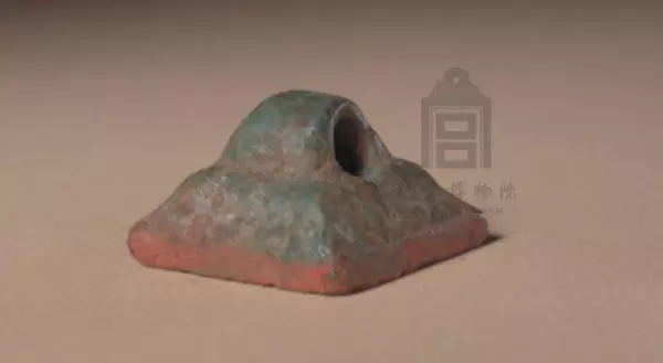 司草是什么意思(3)