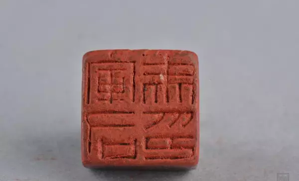 司草是什么意思(6)