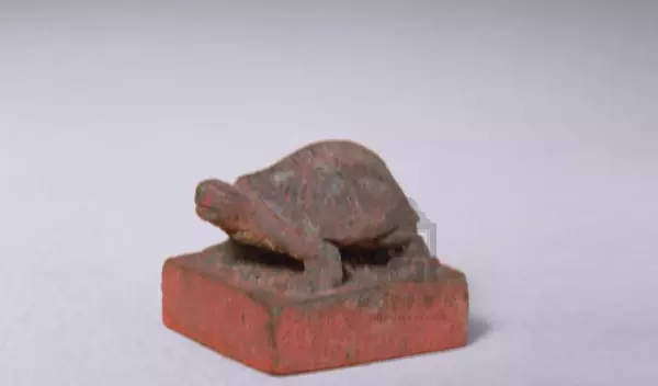 司草是什么意思(7)