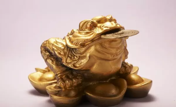 金蟾摆放位置和方向嘴潮东边还是西边好(5)