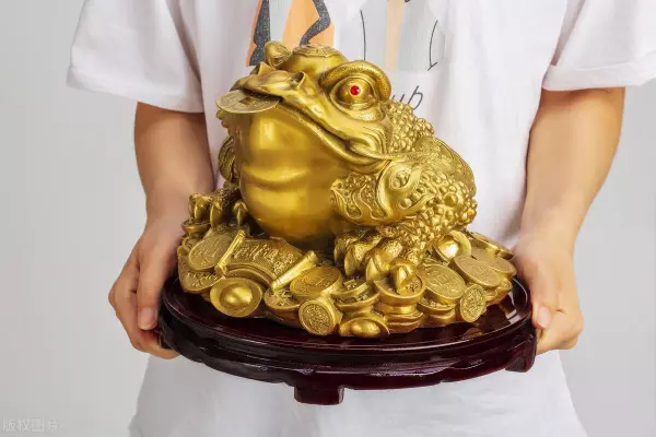 金蟾摆放位置和方向嘴潮东边还是西边好(6)