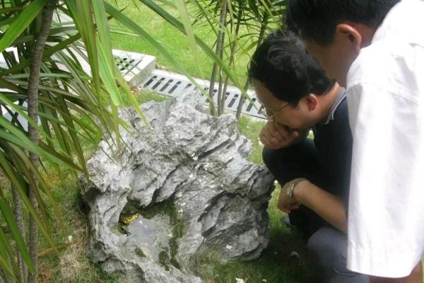中信领航里程花园属于哪个社区.